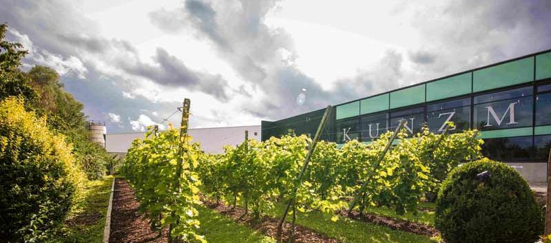 KUNZMANN Weinkellerei - Außenansicht