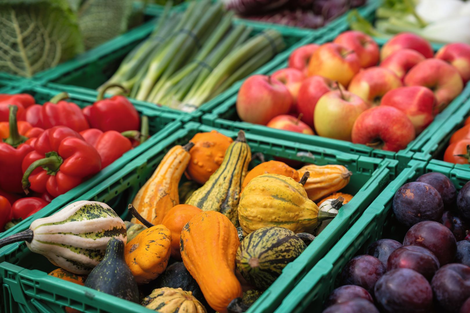 Pionniers dans la vente au détail bio