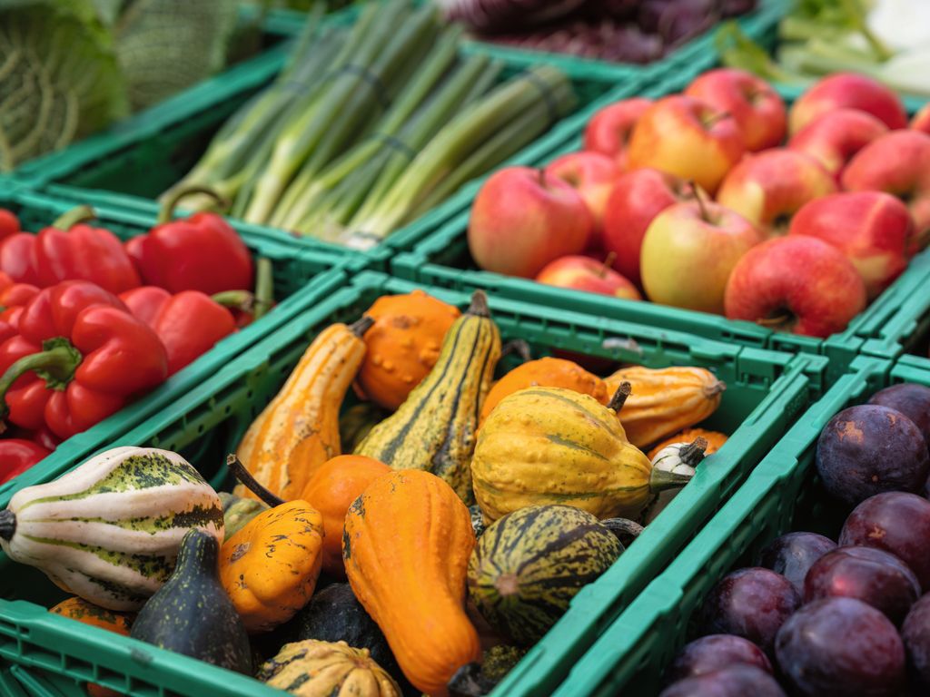 Pioneers in organic retail