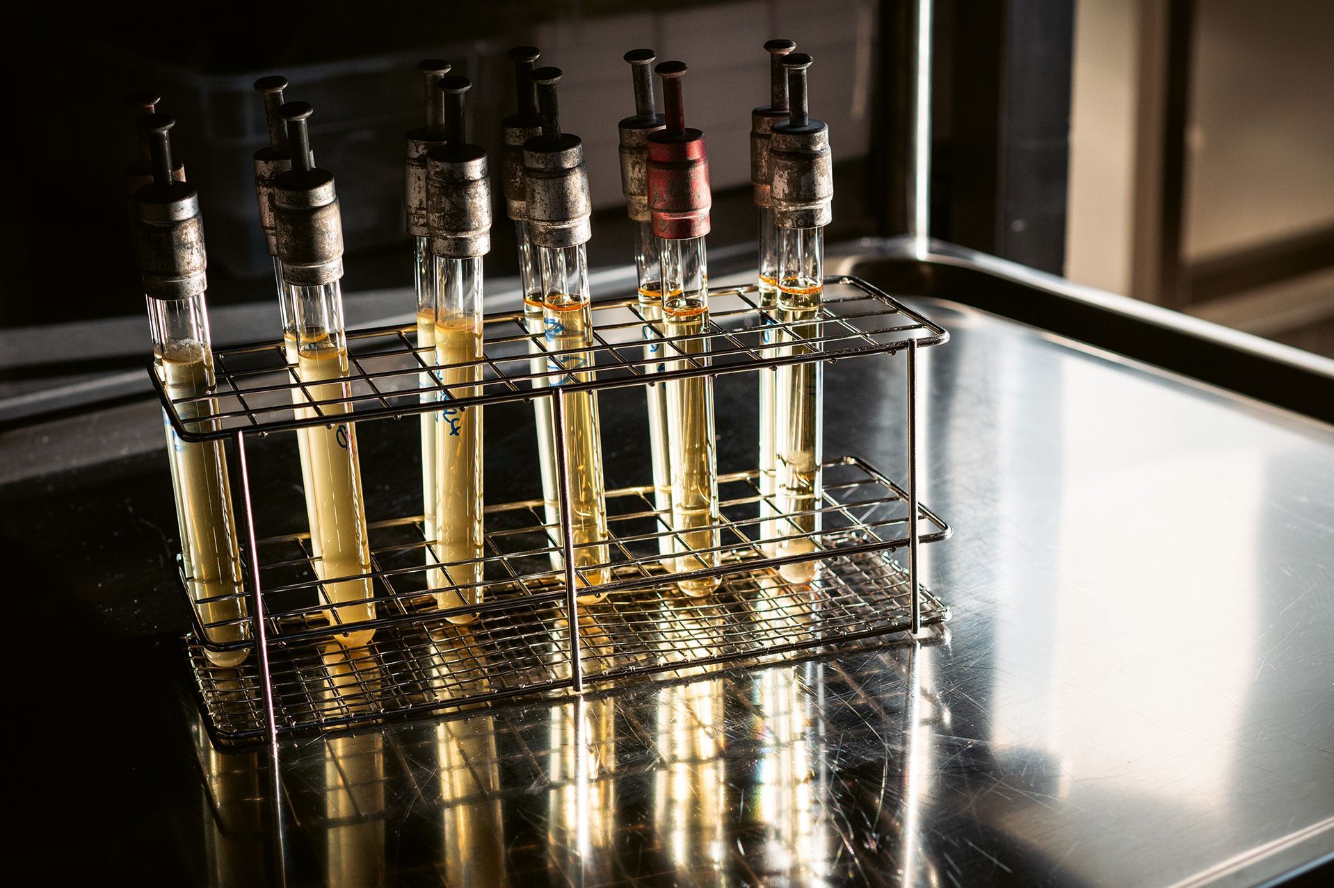 GfPS mbH Growth Promotion Test