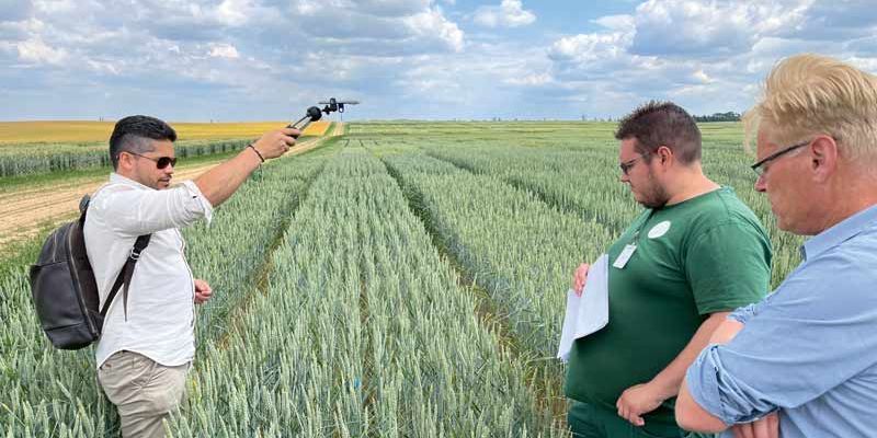 Nordsaat - contar las espigas con el smartphone