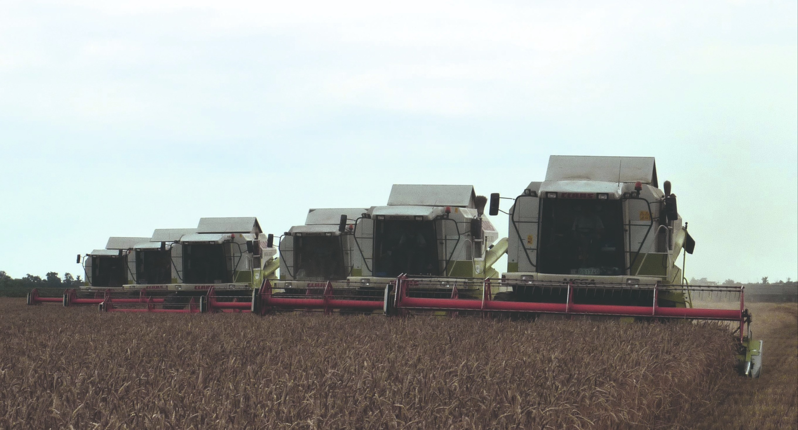 Récolte efficace sous des conditions climatiques changeantes : Innovation en action sur les 4 000 hectares de terre de HÓDAGRO