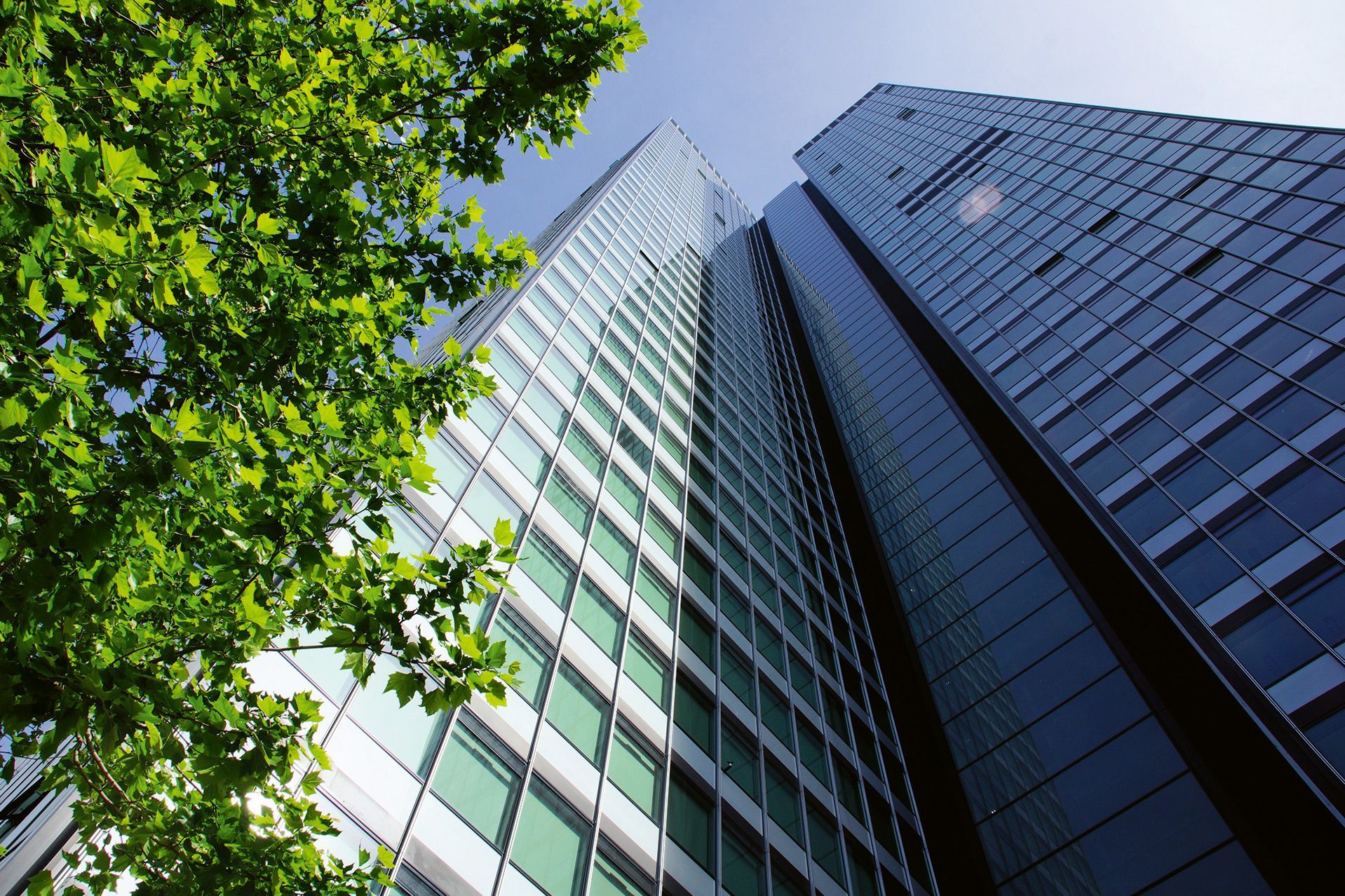 LANGER Metallbau GmbH Kernactiviteit