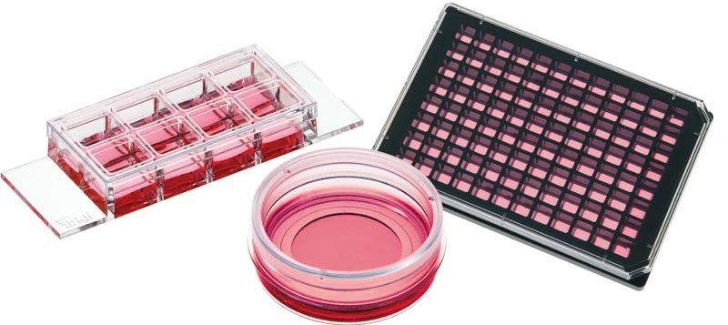 Chambres de microscopie idibi