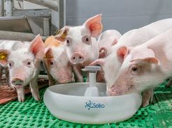 Trouw Nutrition Deutschland GmbH Ferkelaufzucht 