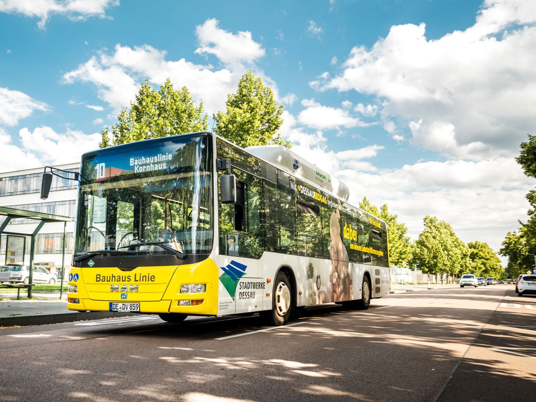 Stadtwerke Dessau Mobilität