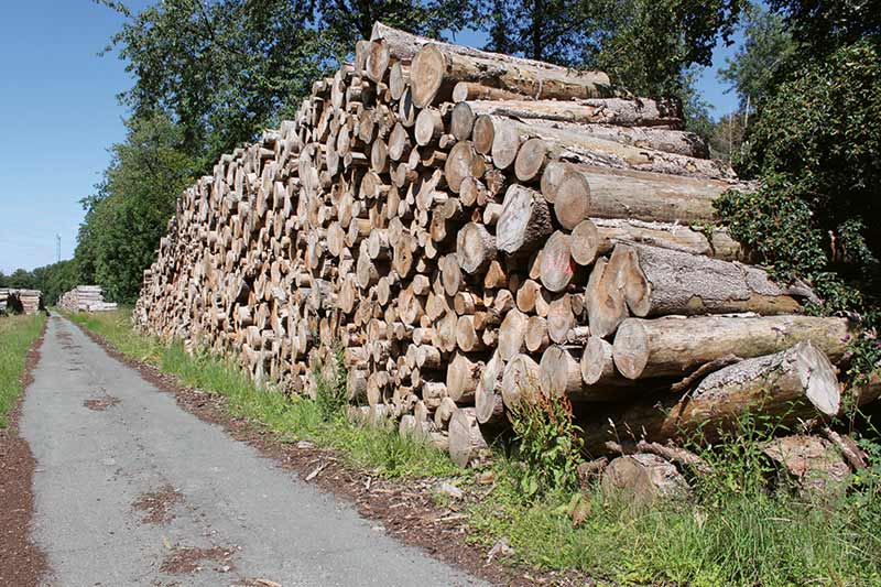 Josef Winkelheide GmbH Almacén de Madera Redonda