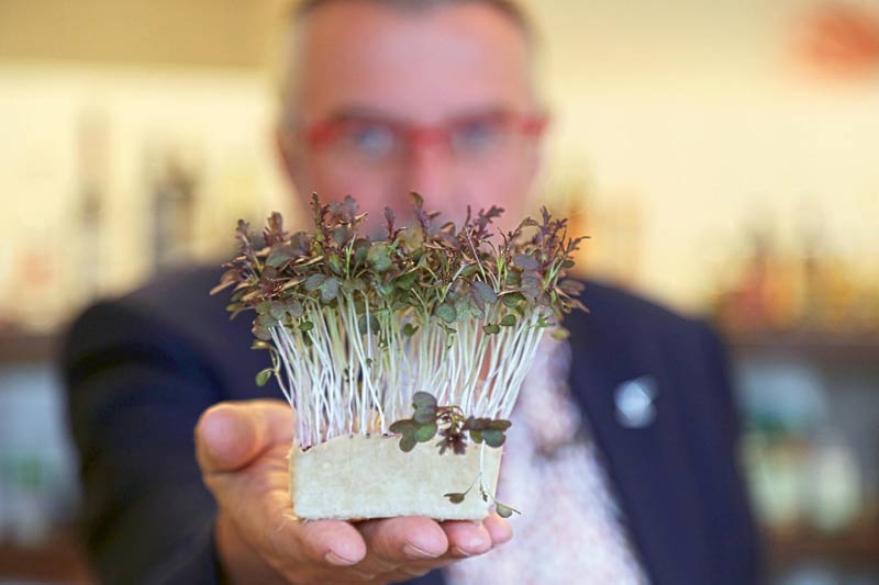 Koppert Cress Kyona Mostaza Cress