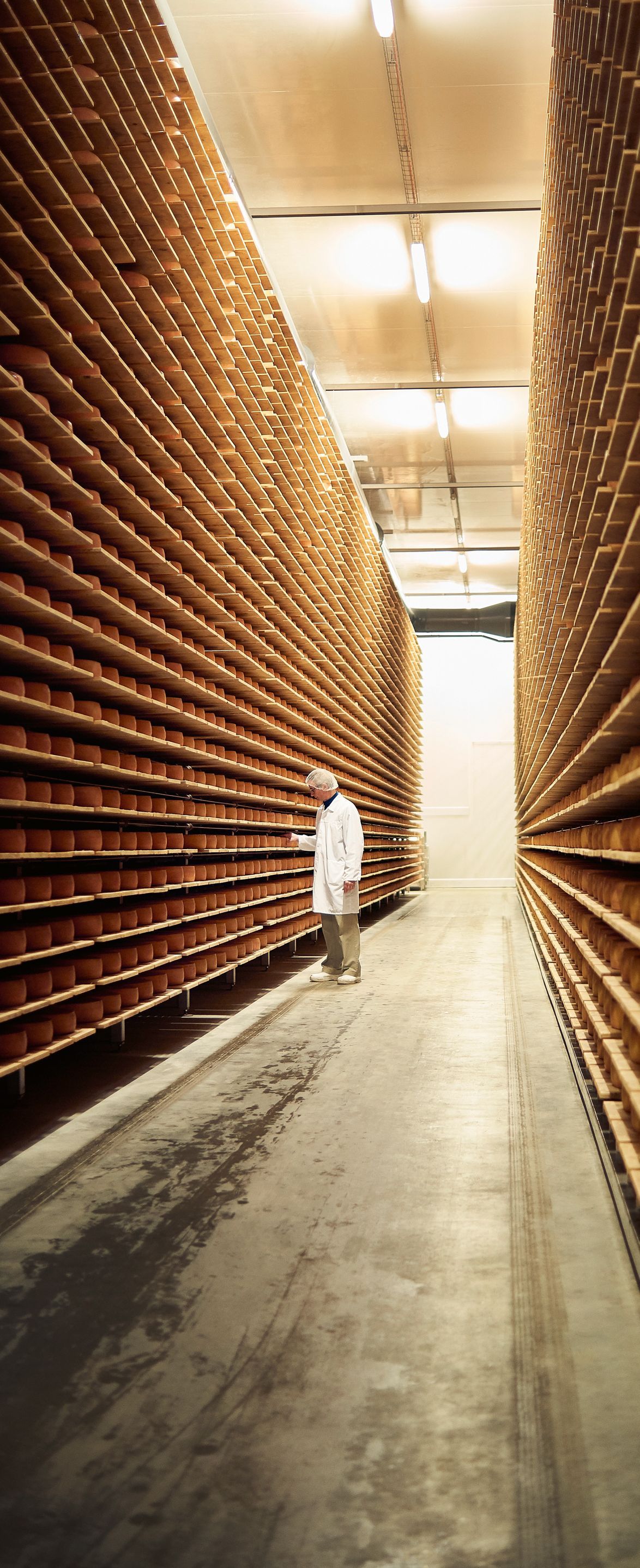 Maturazione Käserei Studer AG