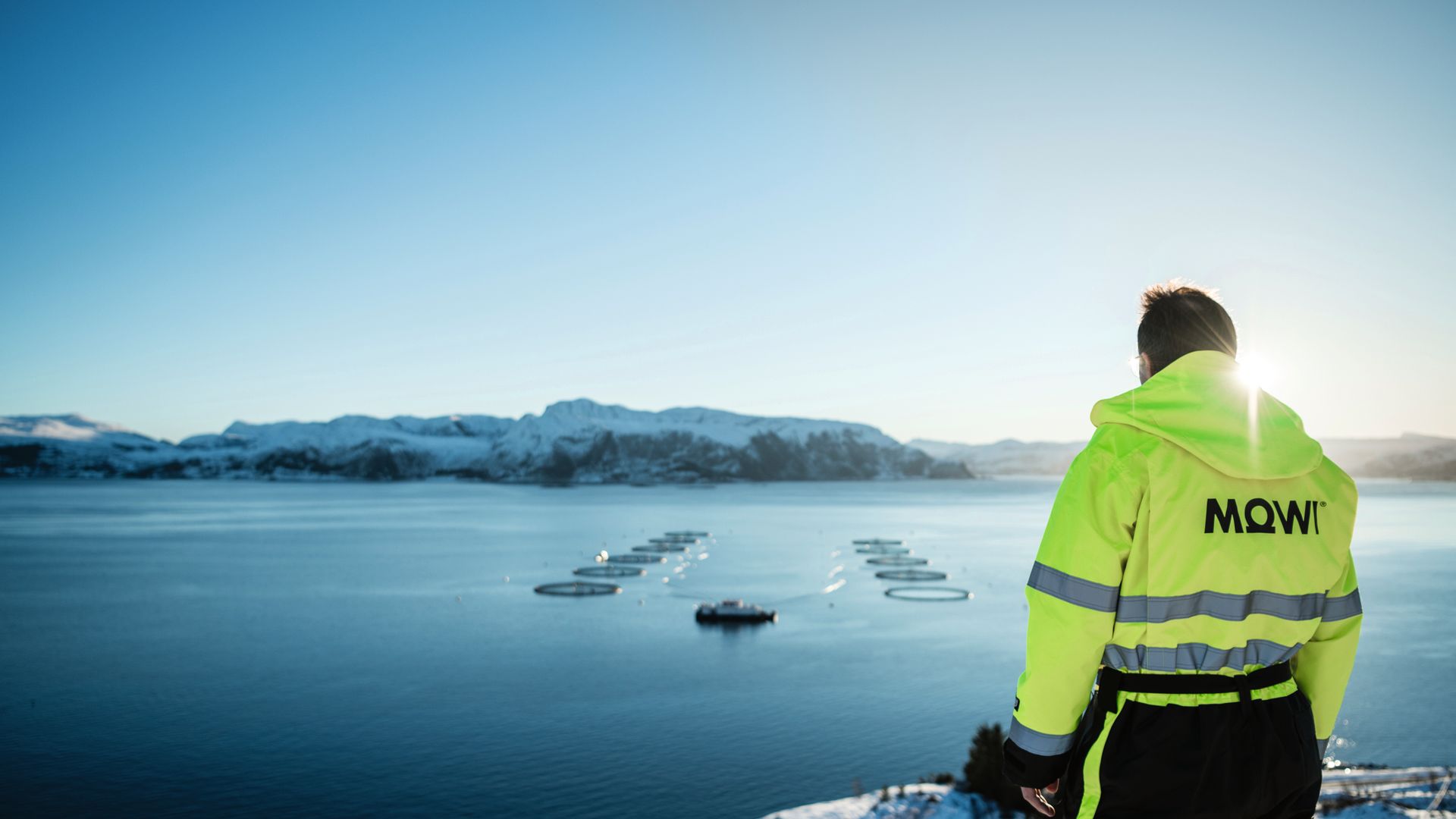 A Mowi tengervízi farmokat üzemeltet Észak-Európában, valamint Dél-Amerikában