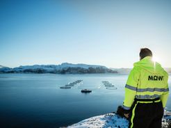 Mowi opera granjas marinas en Europa del Norte así como en Sudamérica