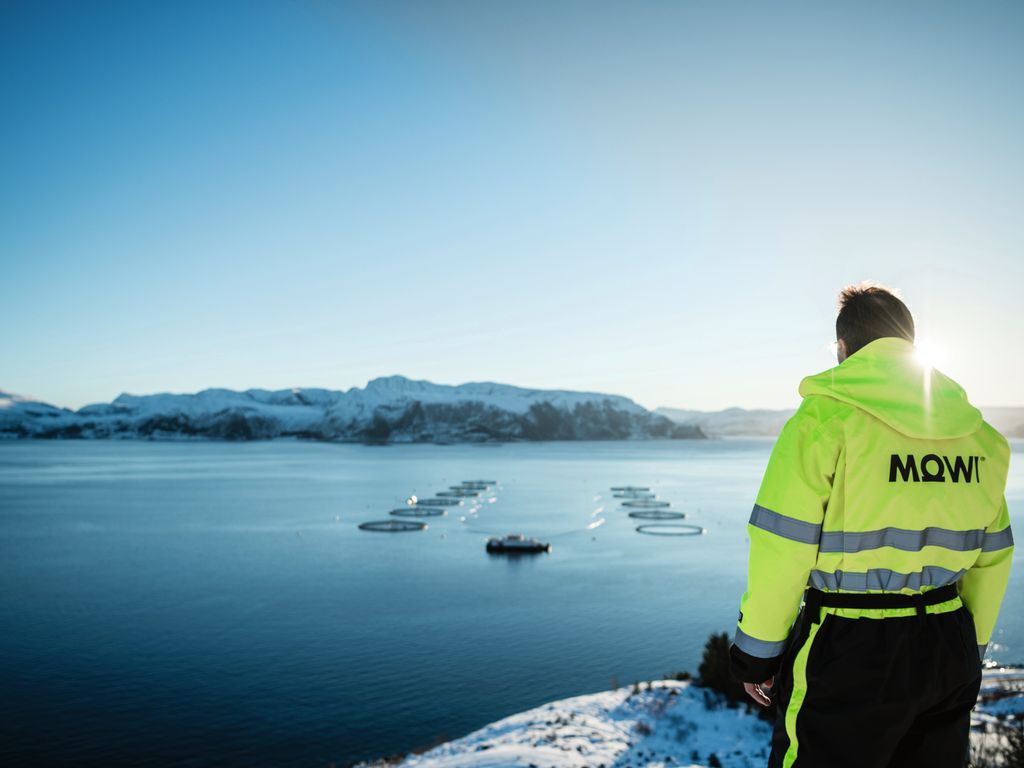 Guidare la Rivoluzione Blu