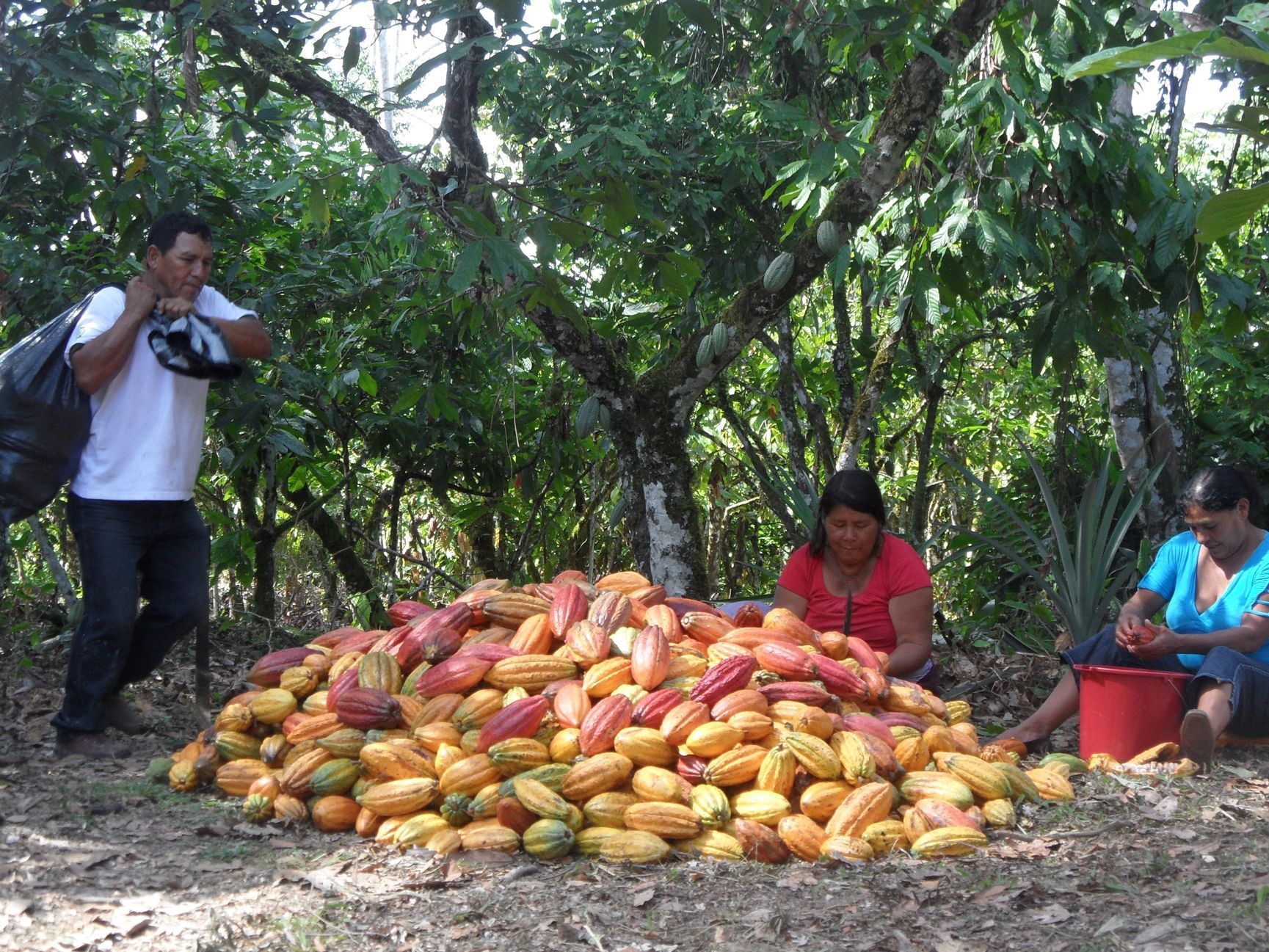 Préparation du Chocolat Bernain