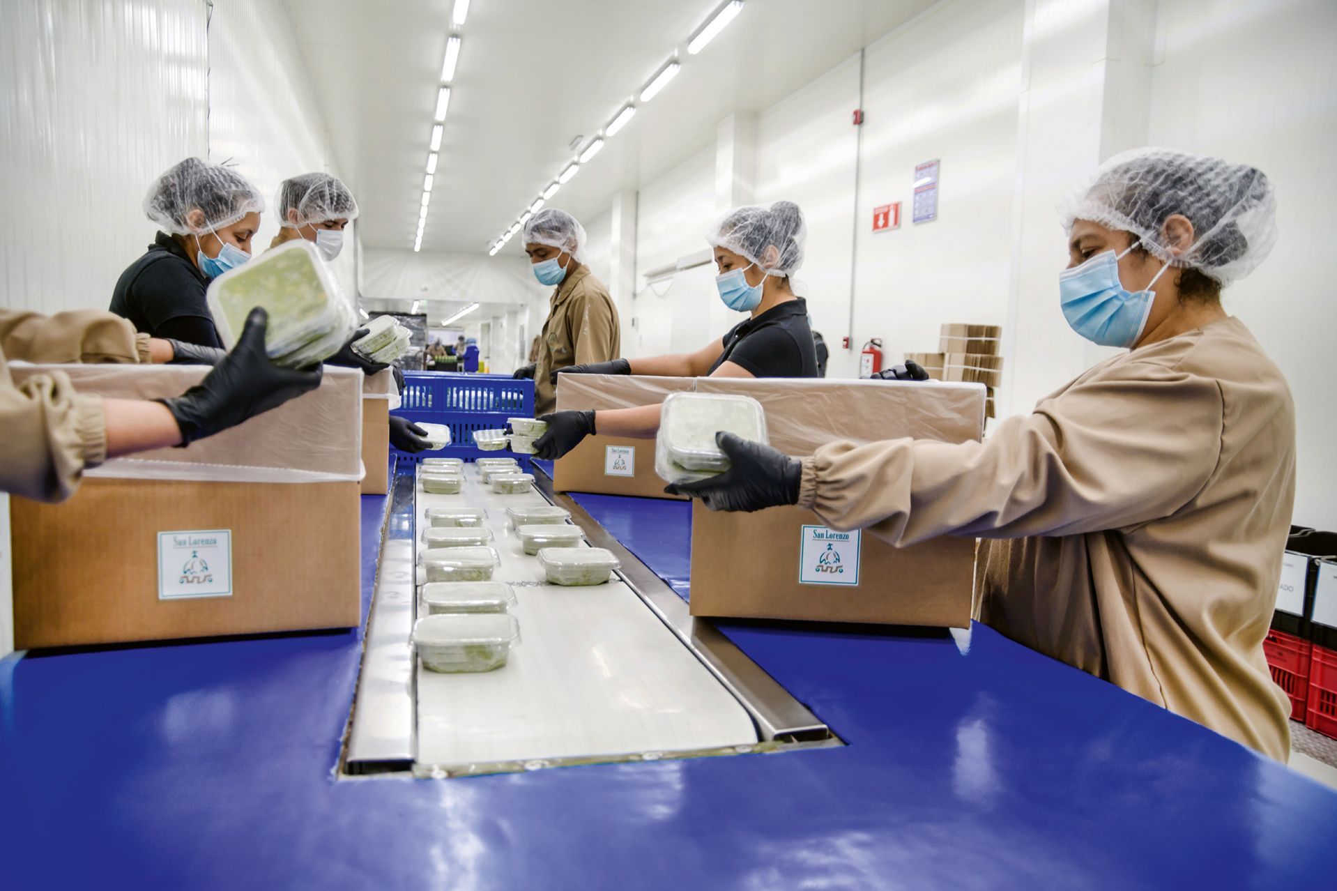 Agora America GmbH Productos de Guacamole