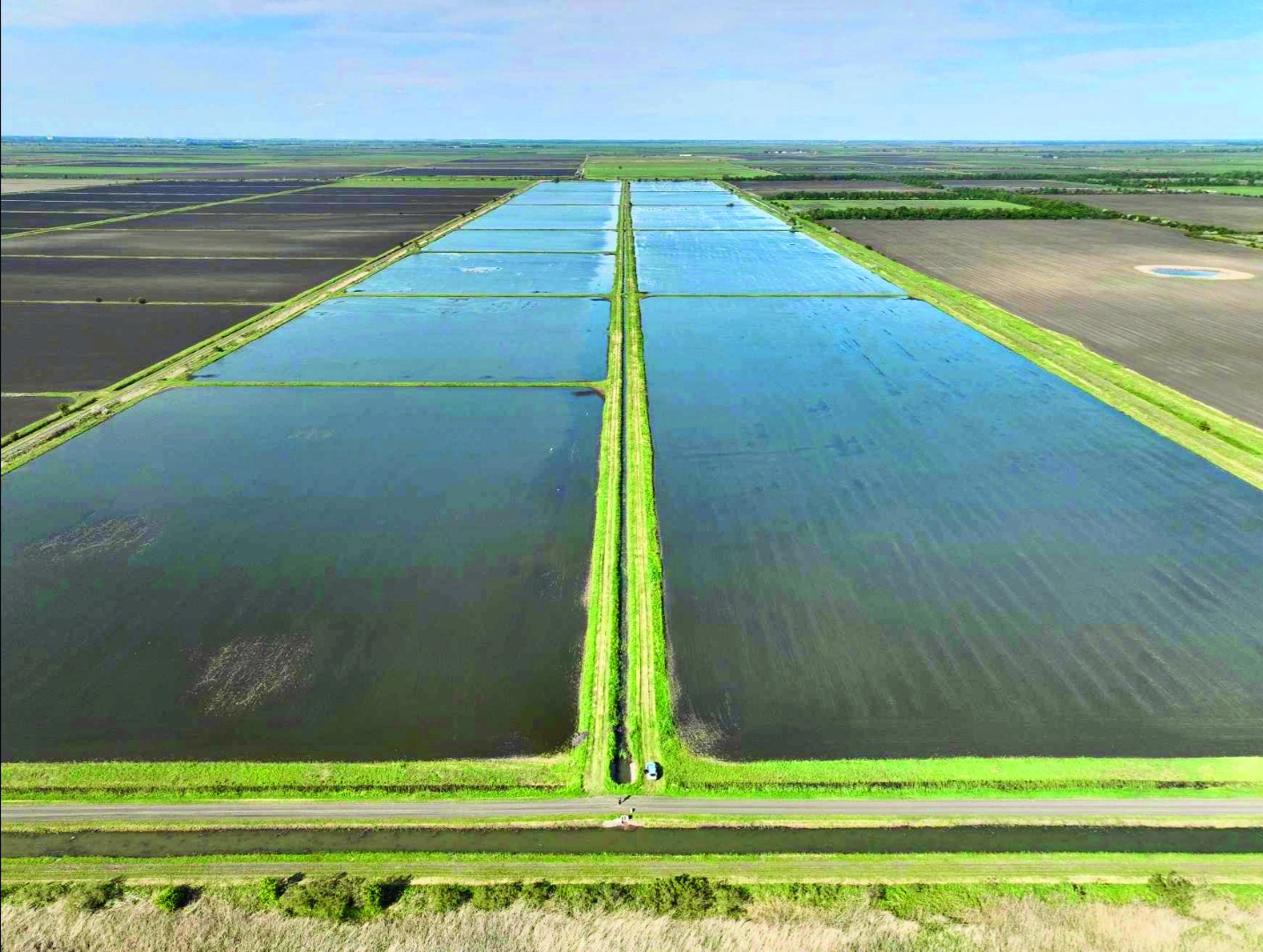 Légifelvétel Nagykun kiterjedt rizsföldeiről