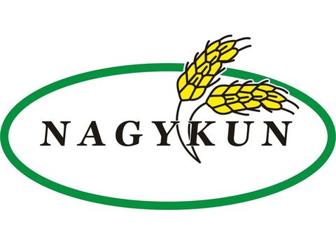 Nagykun 2000