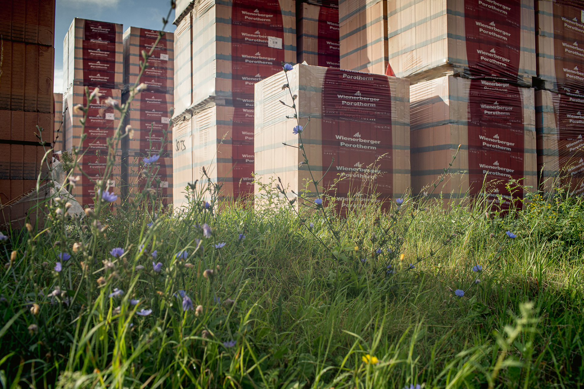 Wienerberger AG Biodiversität 