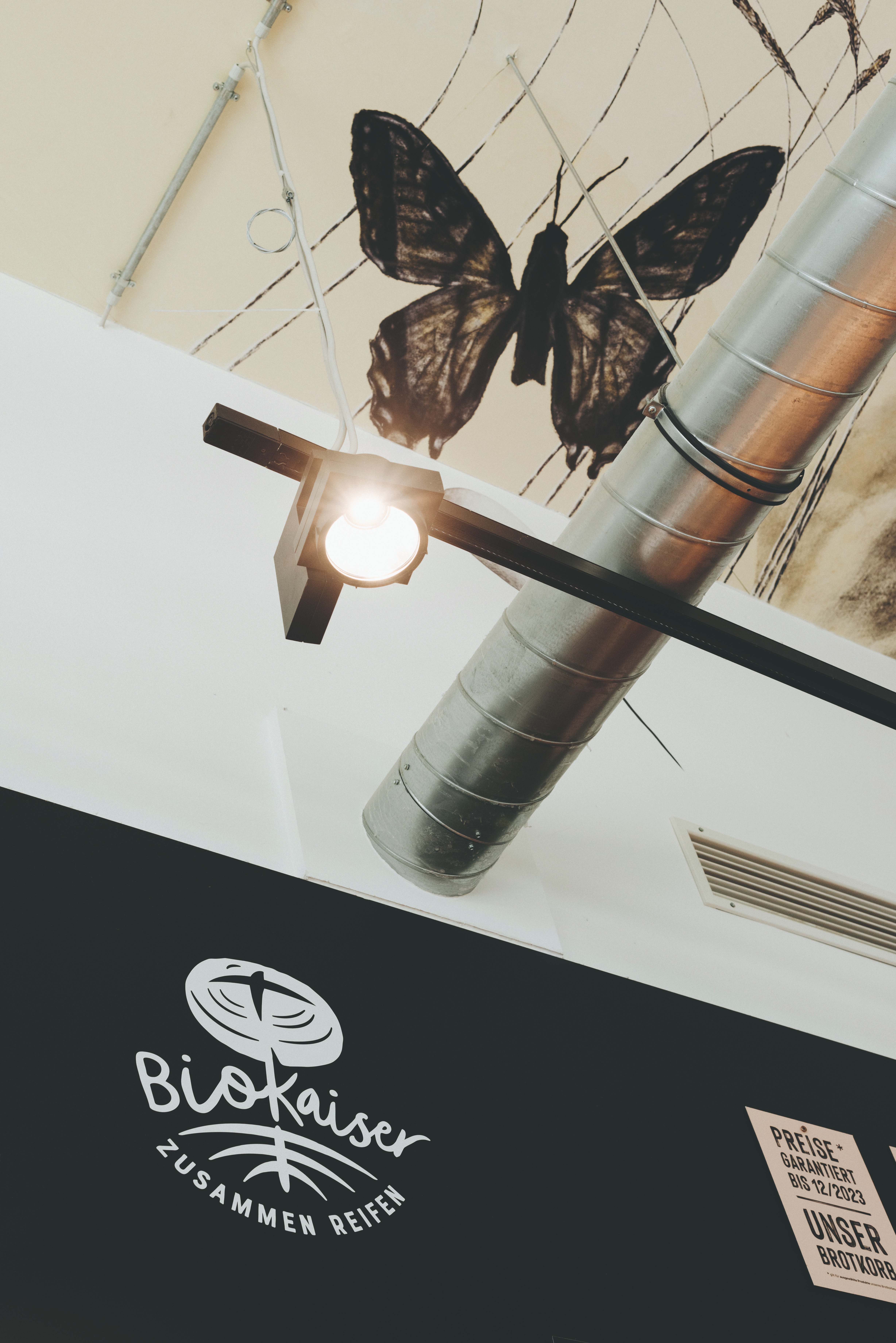 Pas d'apparence de franchise