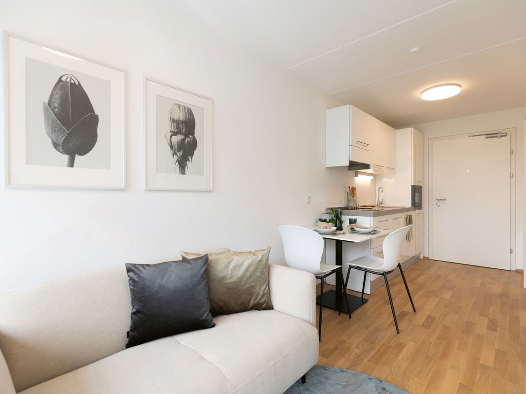 zwei-a projektmanagement gmbh Appartement