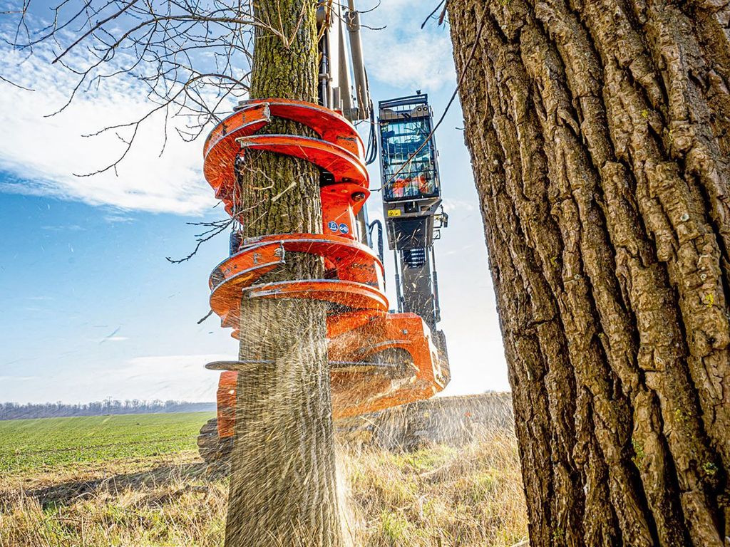 Du projet de garage au joueur global