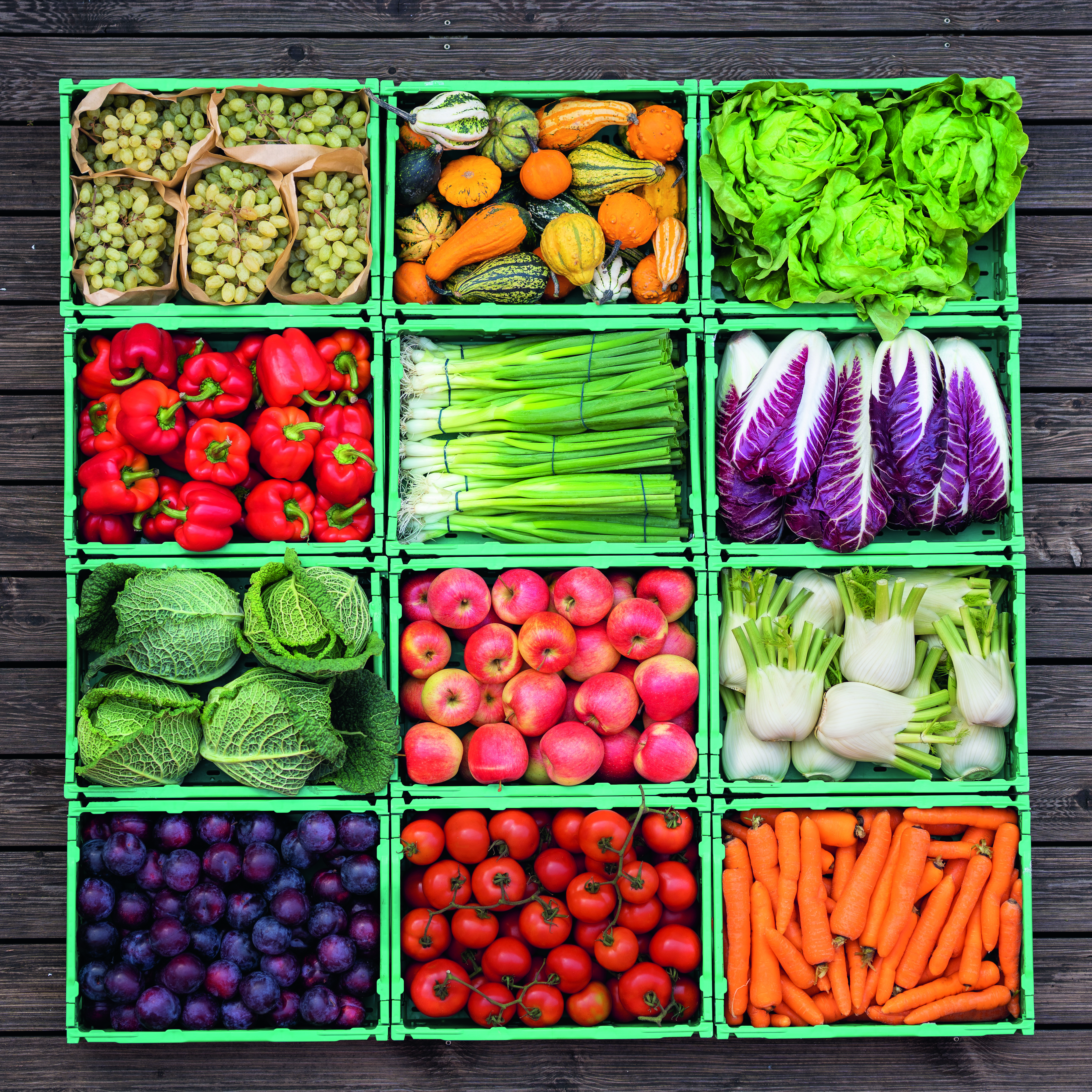 Świeże owoce i warzywa we wszystkich odmianach: kluczowe zagadnienie w Ökoring