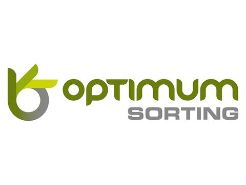 Optimum Sorting