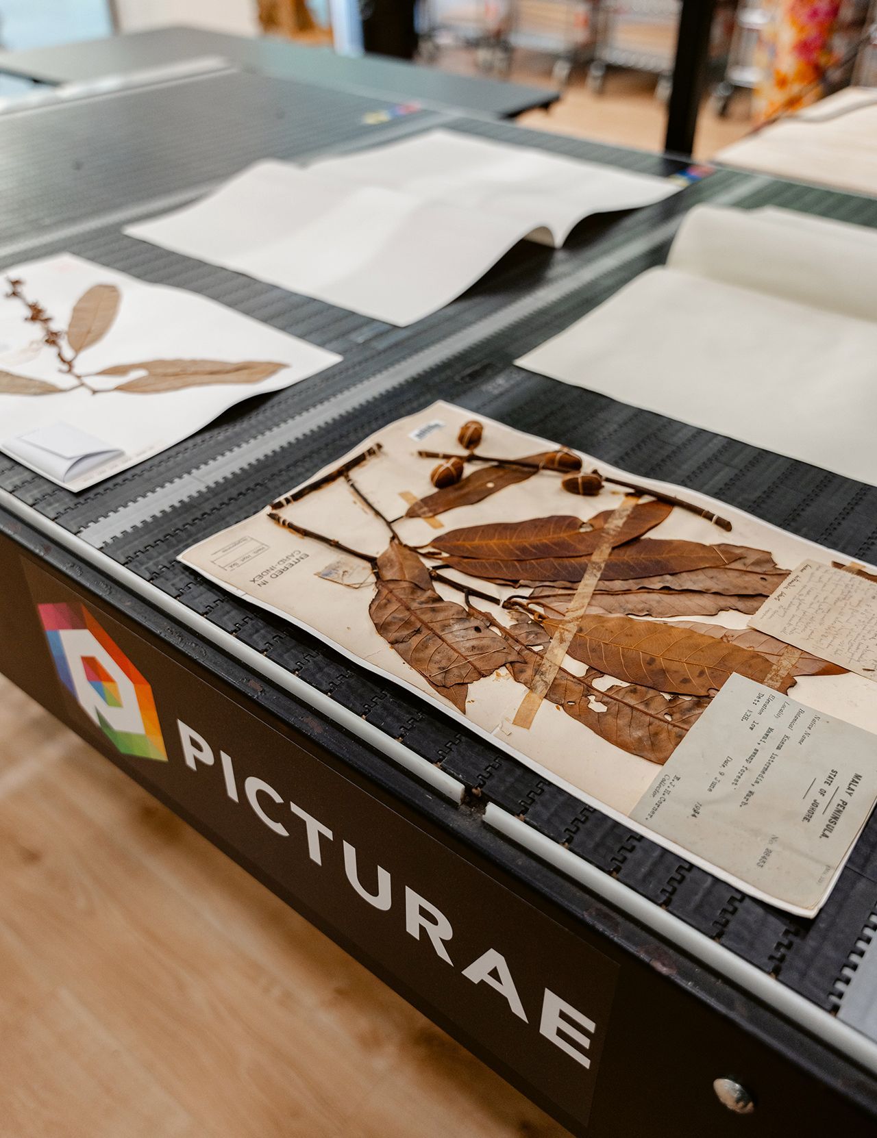Système d'herbier automatisé Picturae Holding B.V.