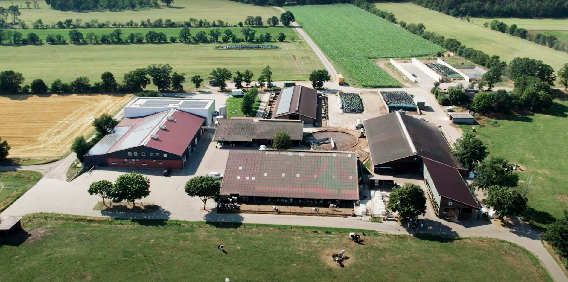 Hemme Milch GmbH & Co. Vertriebs KG Company Premises