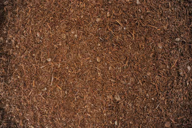 Pilzhof Pilzsubstrat Wallhausen Galerie