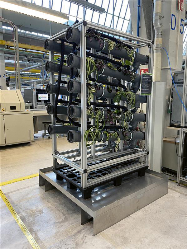 Un prototipo contra el aire seco: las plantas crean un buen clima en la producción