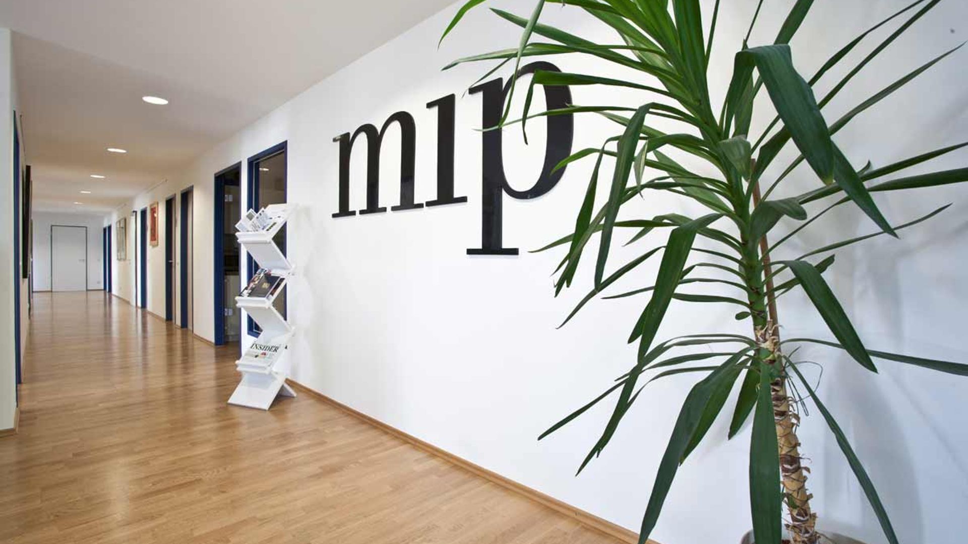 MIP Office Area
