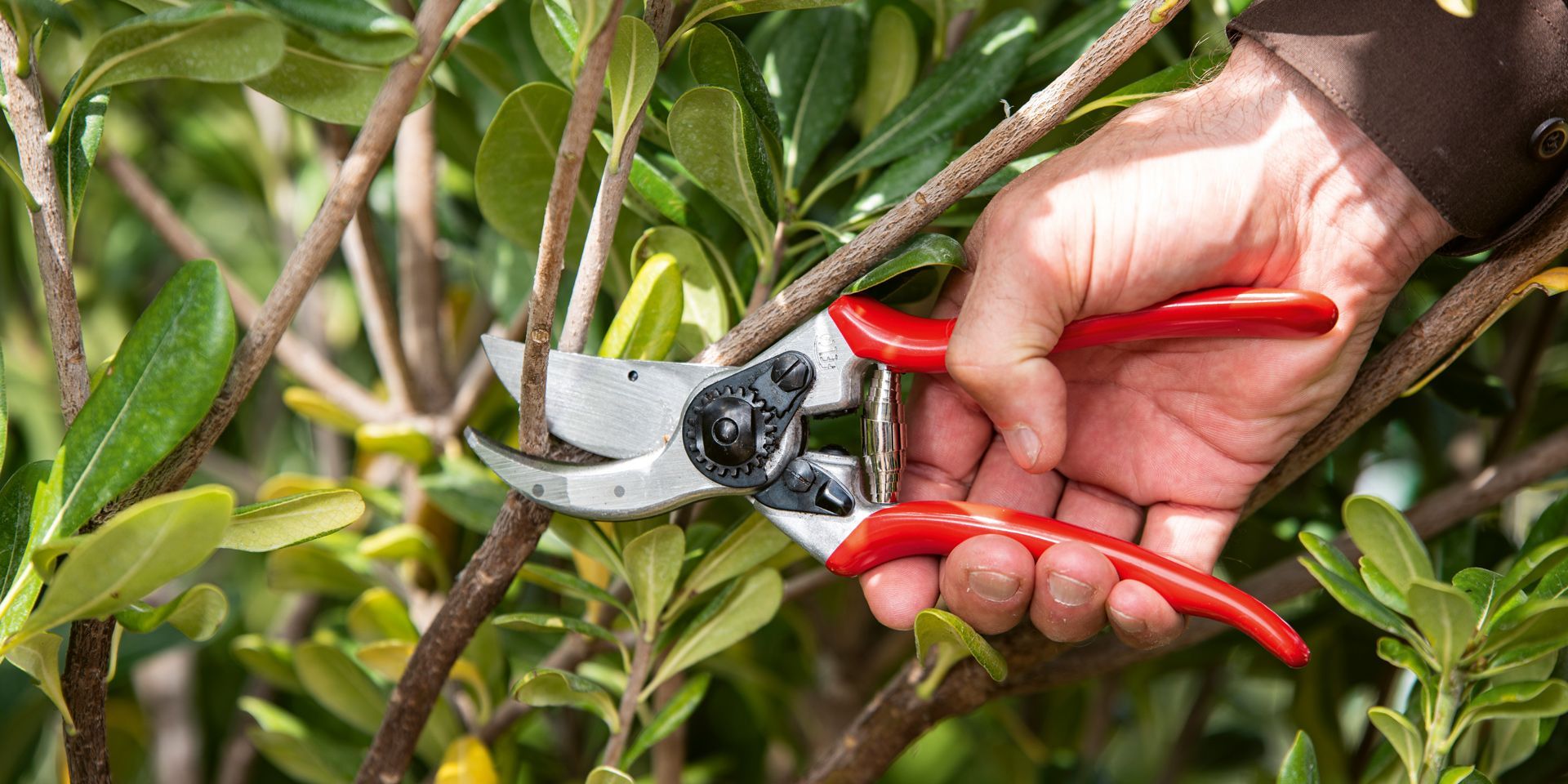 Felco SA Gartenschere