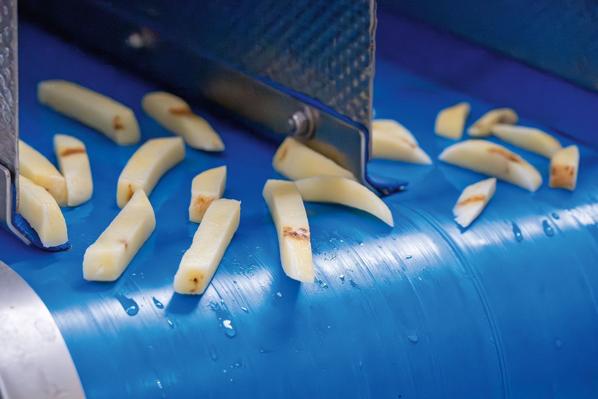 Optimum Sorting sorting out defective fries