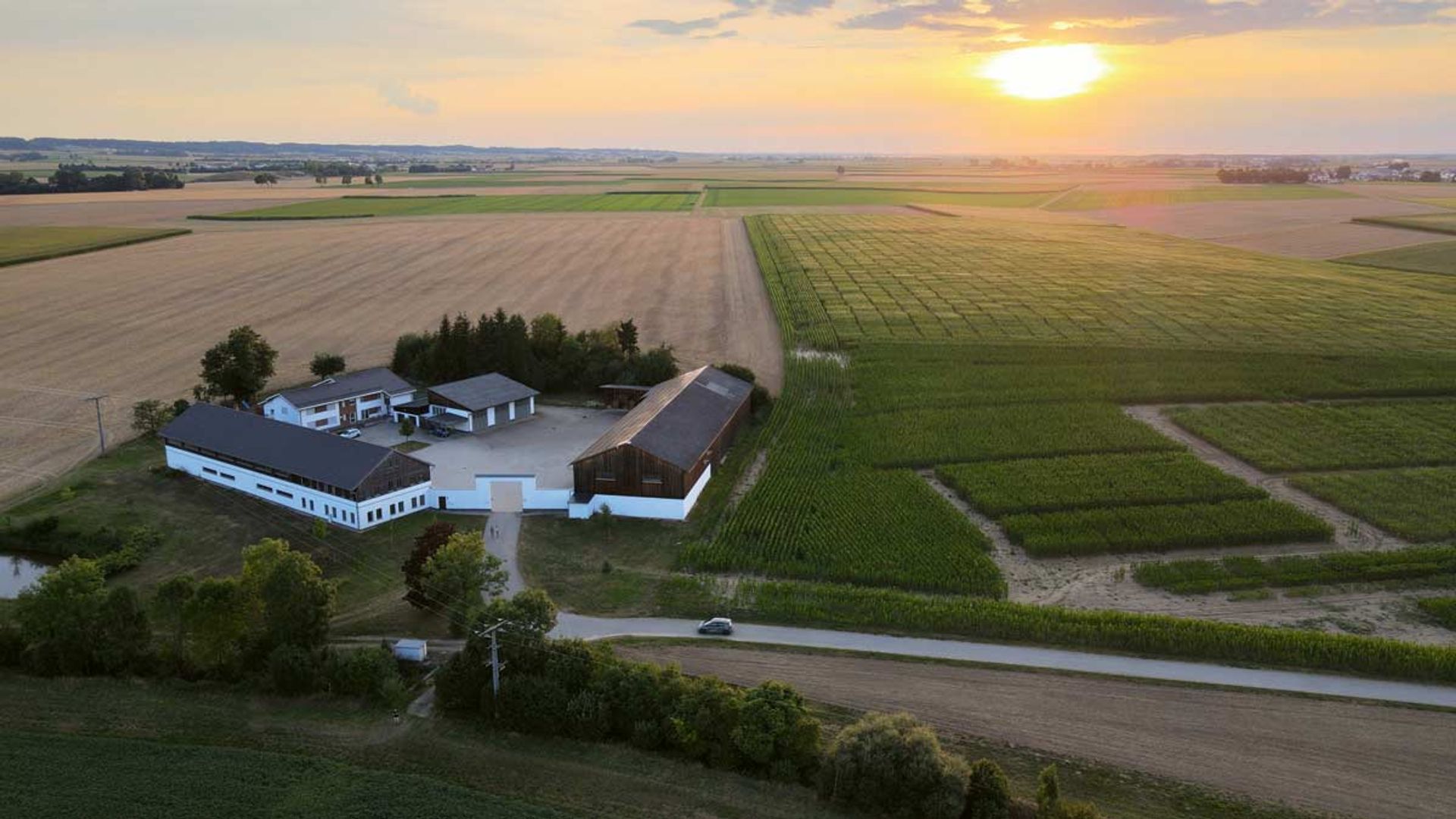 formsaat- New varieties are developed in Bavarian Osterhofen