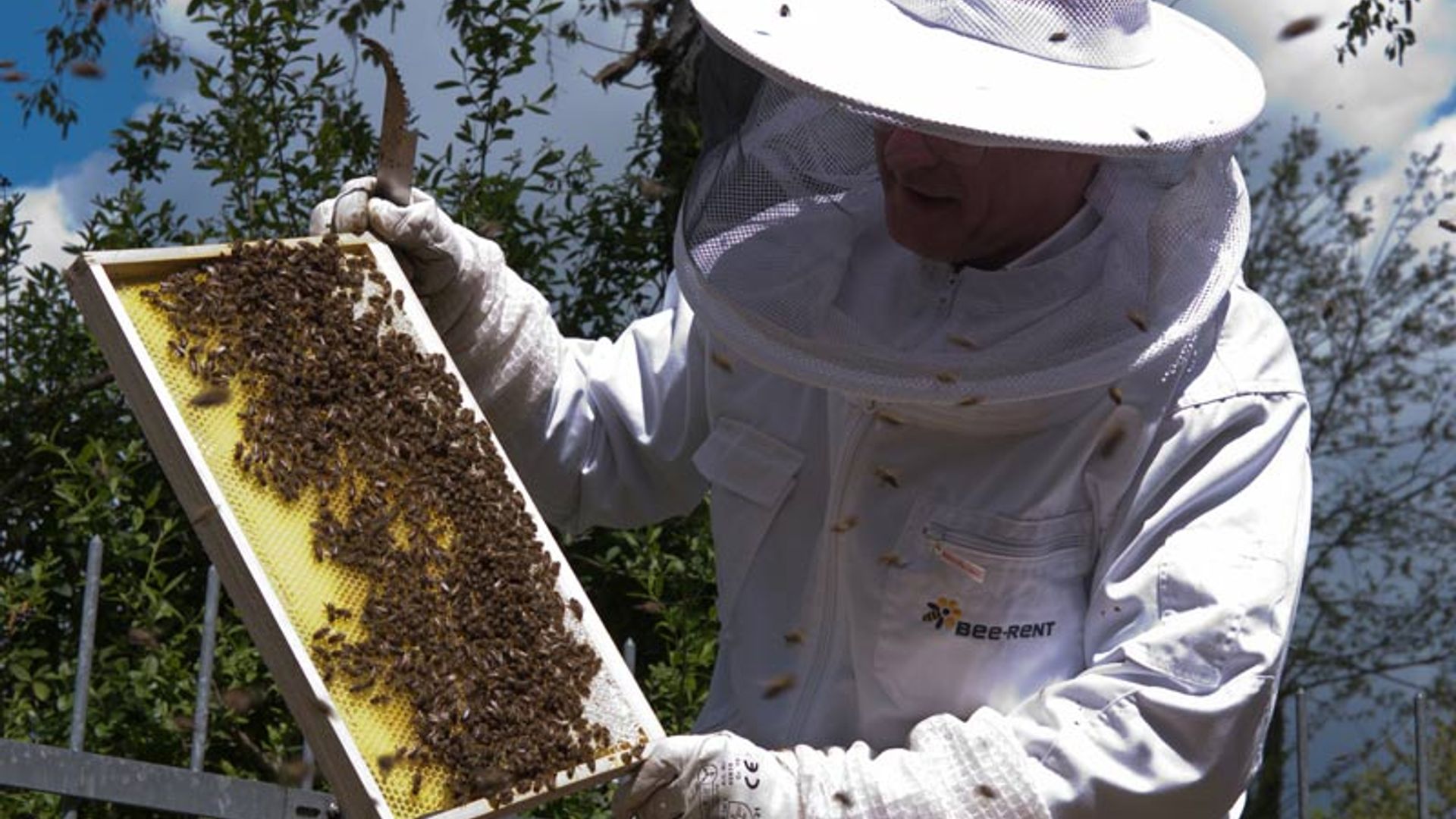 Bee-Rent GmbH