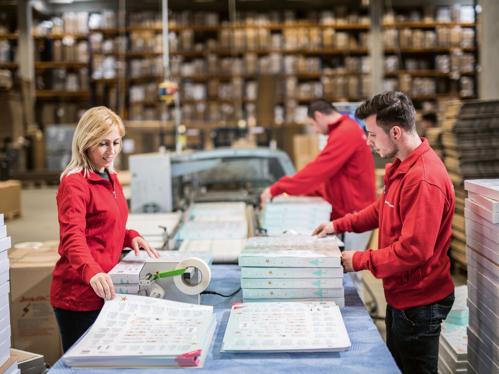 PACKSERVICE AUSTRIA Ost GmbH Ploegensysteem