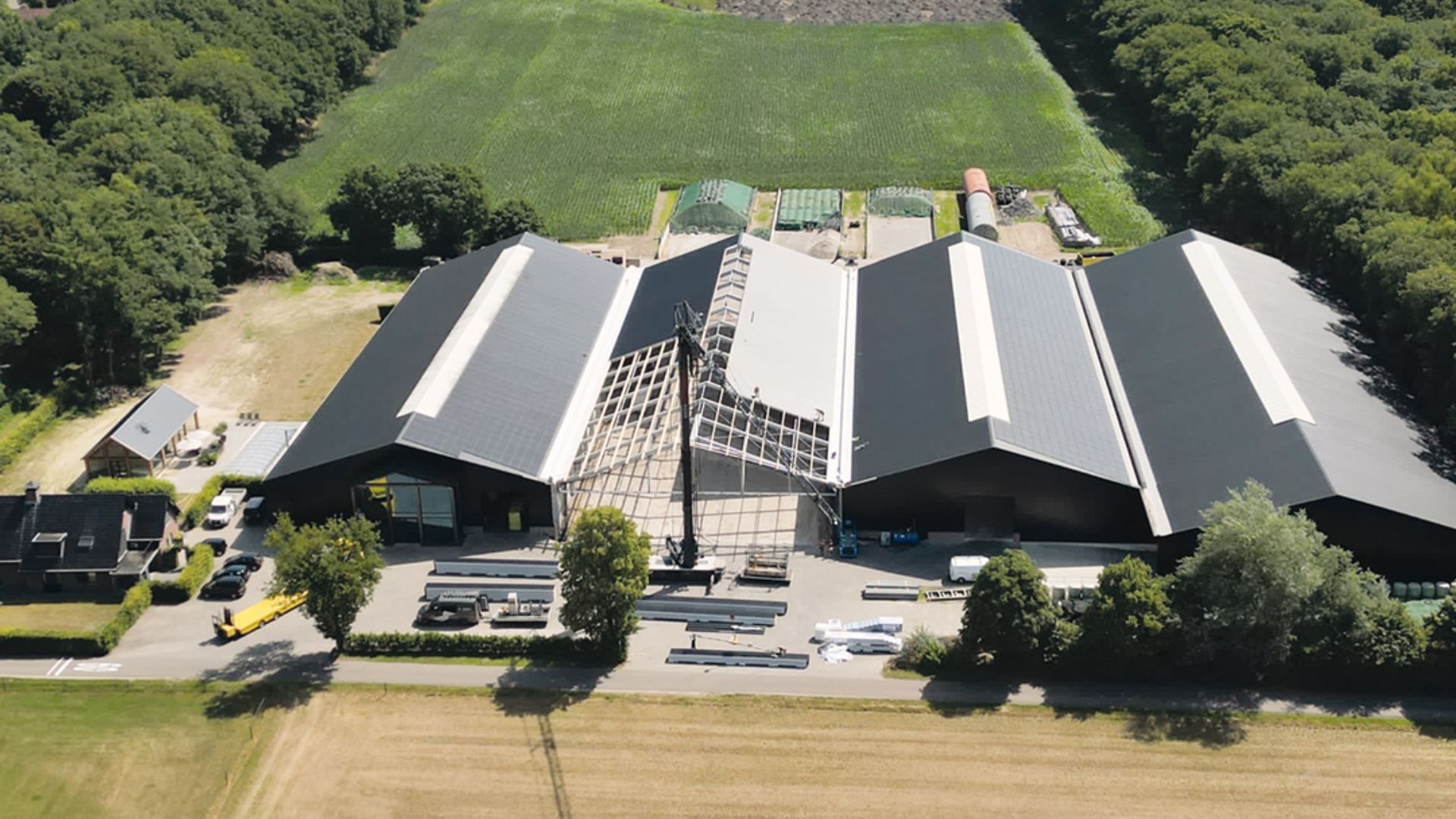 Gedizo Trading International B.V. Selfmademan