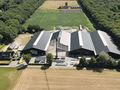 Gedizo Trading International B.V. Selfmademan