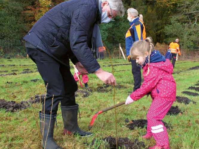 Piantagione di alberi di Gollnest