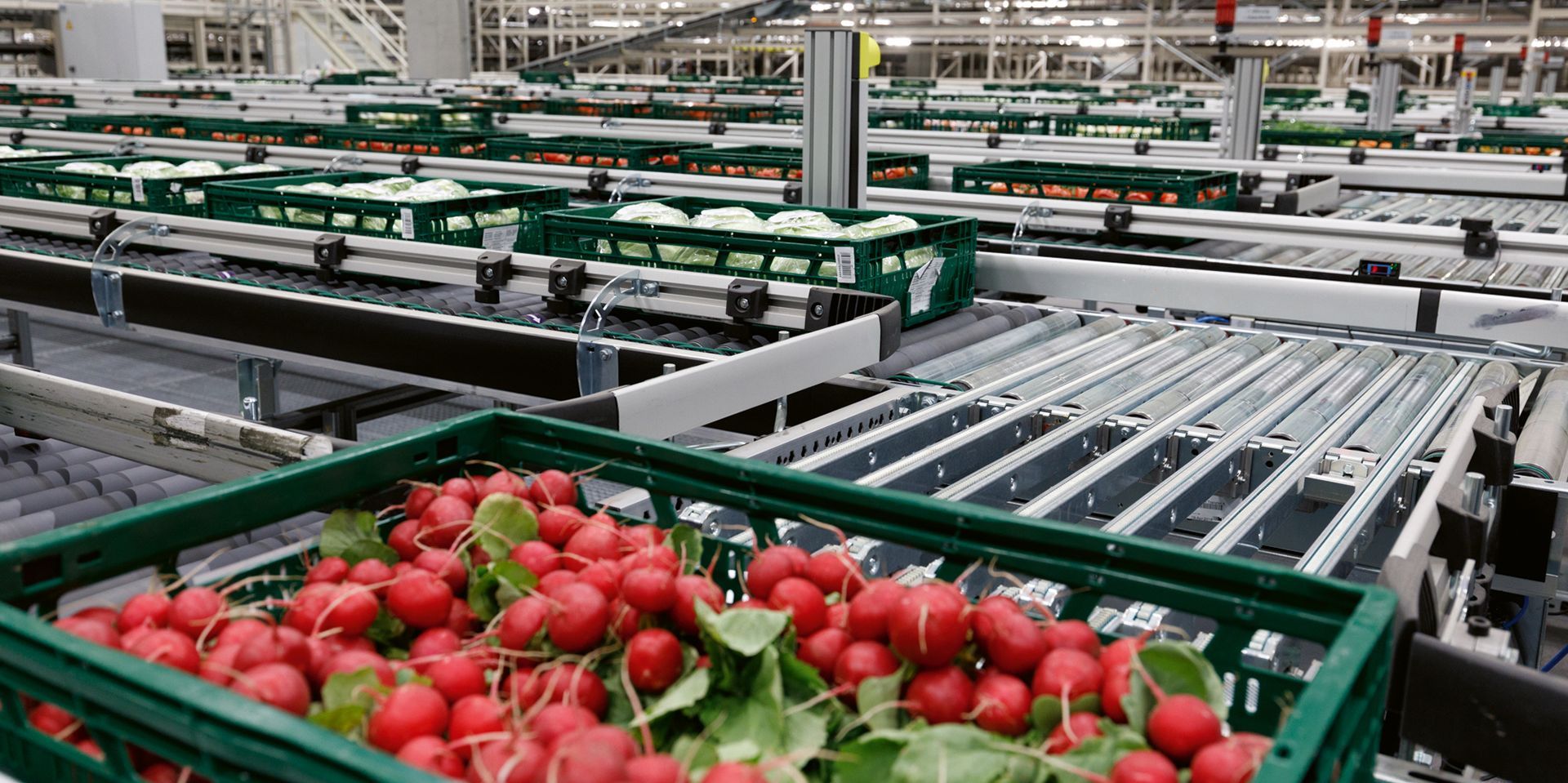 BSS Bohnenberg GmbH Behälterfördertechnik