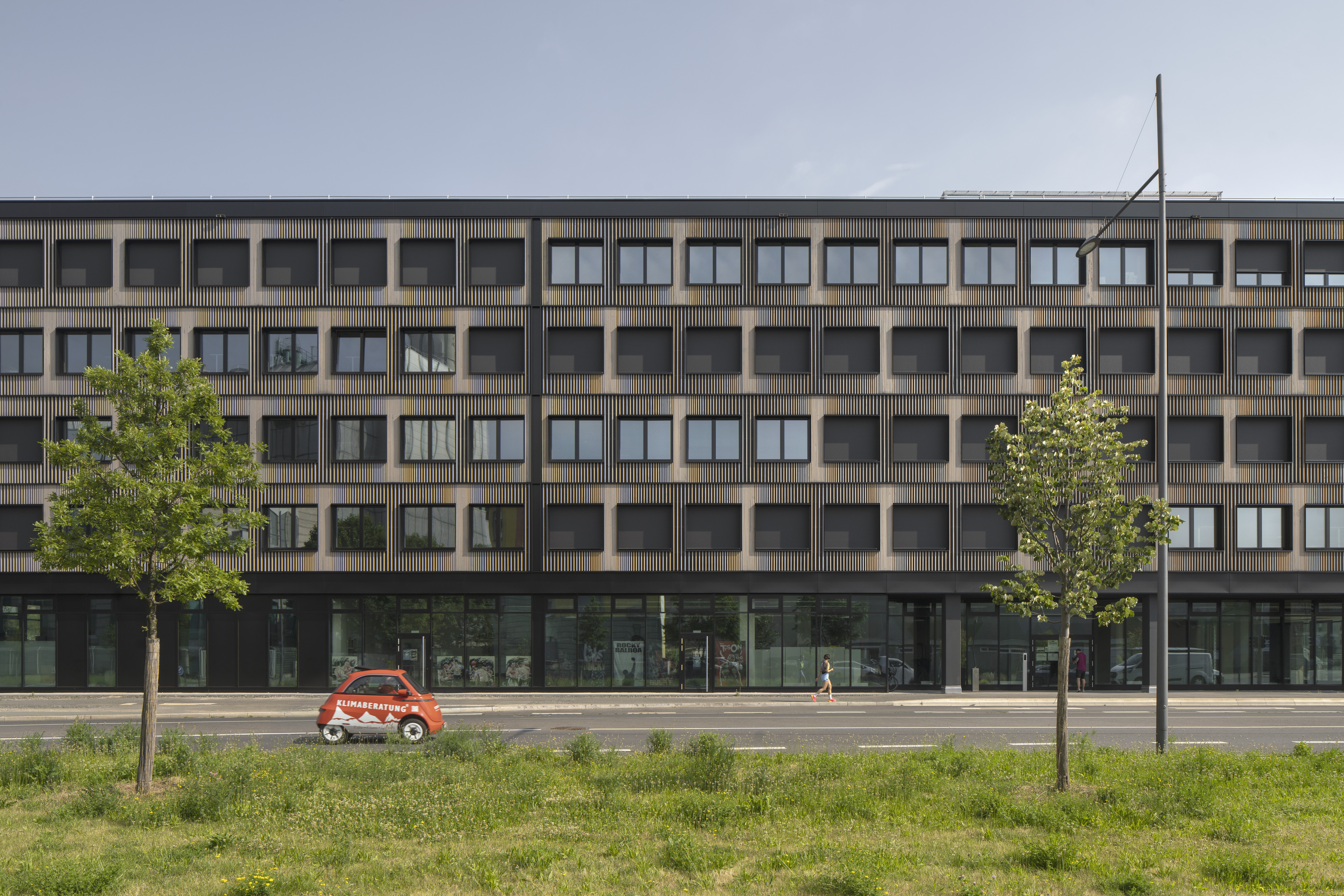 RockyWood est l'un des projets les plus connus de la société © Jan Bitter