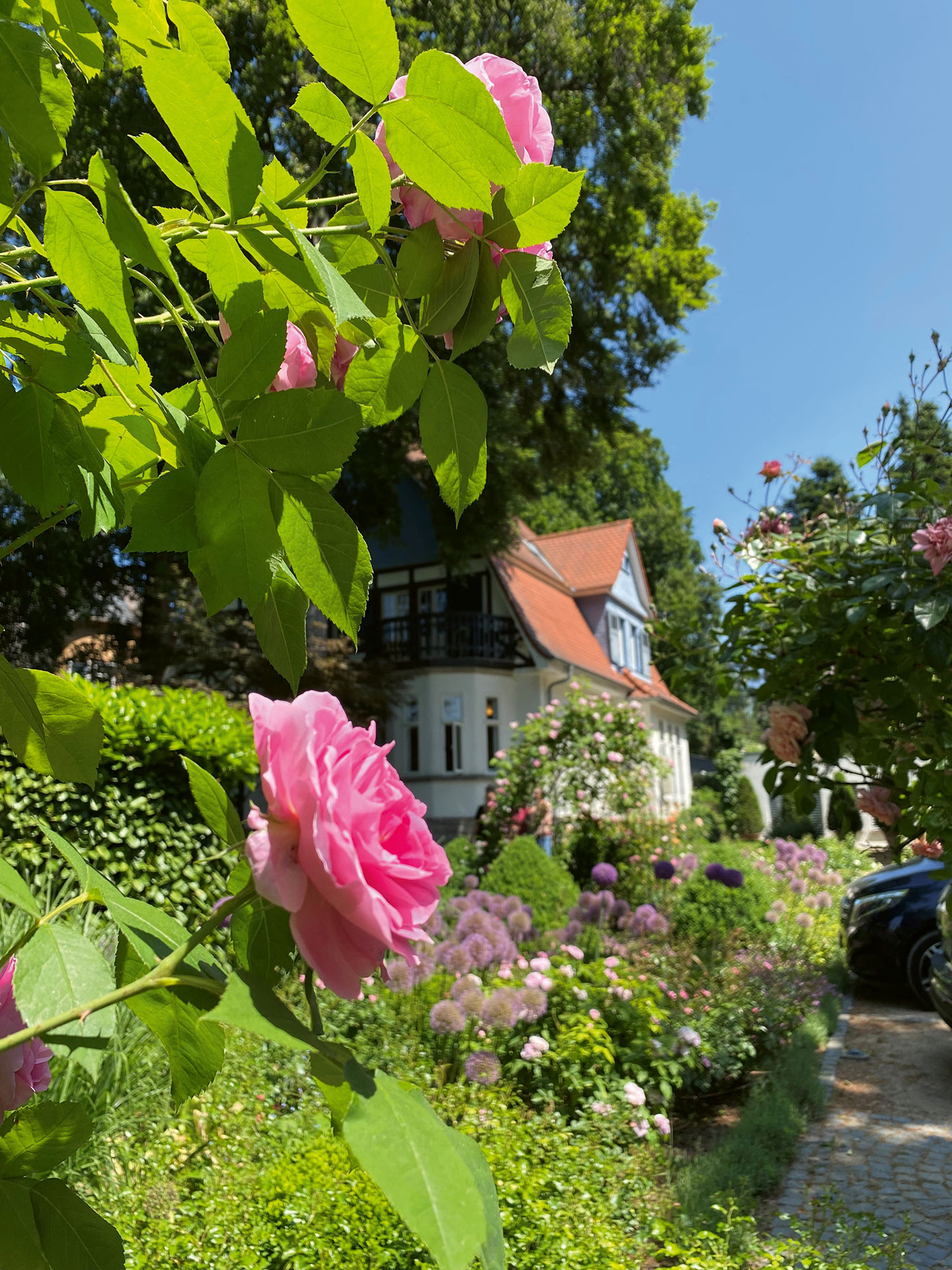 Rosenparkklinik GmbH Klink