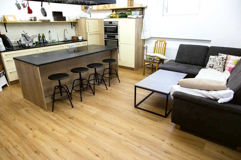 H. e J. Steiner diversi terreni