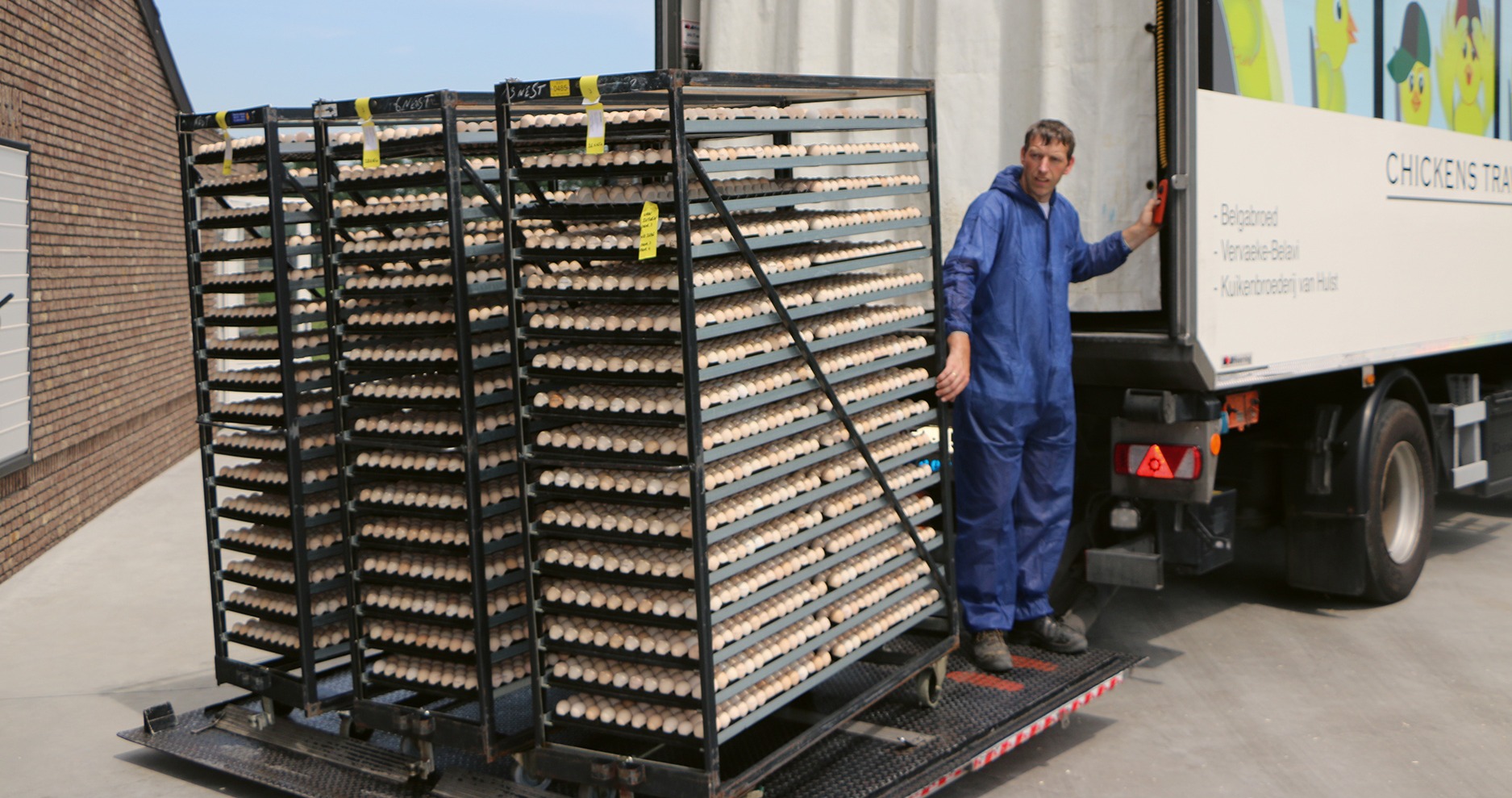 A keltetőtől a gazdaságig – minden tojás útja a természetesebb és állatjóléti szempontokra nagyobb hangsúlyt helyező baromfitenyésztés kezdetét jelzi