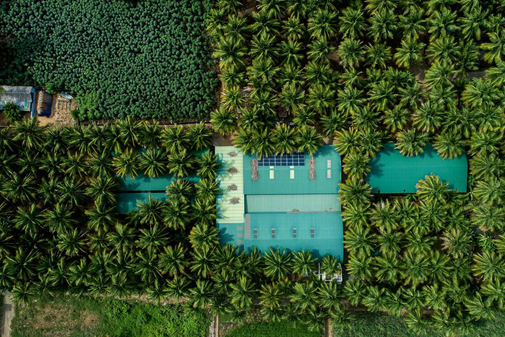 Sense Organics Import & Trading GmbH Surowce