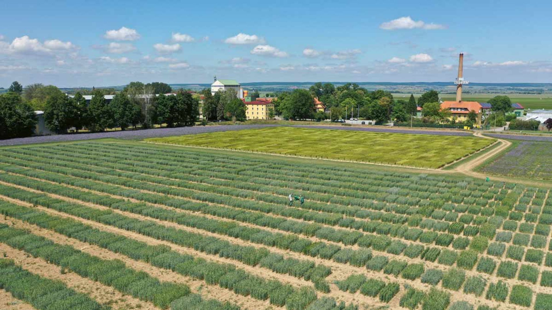 Jardín de crianza de Nordsaat
