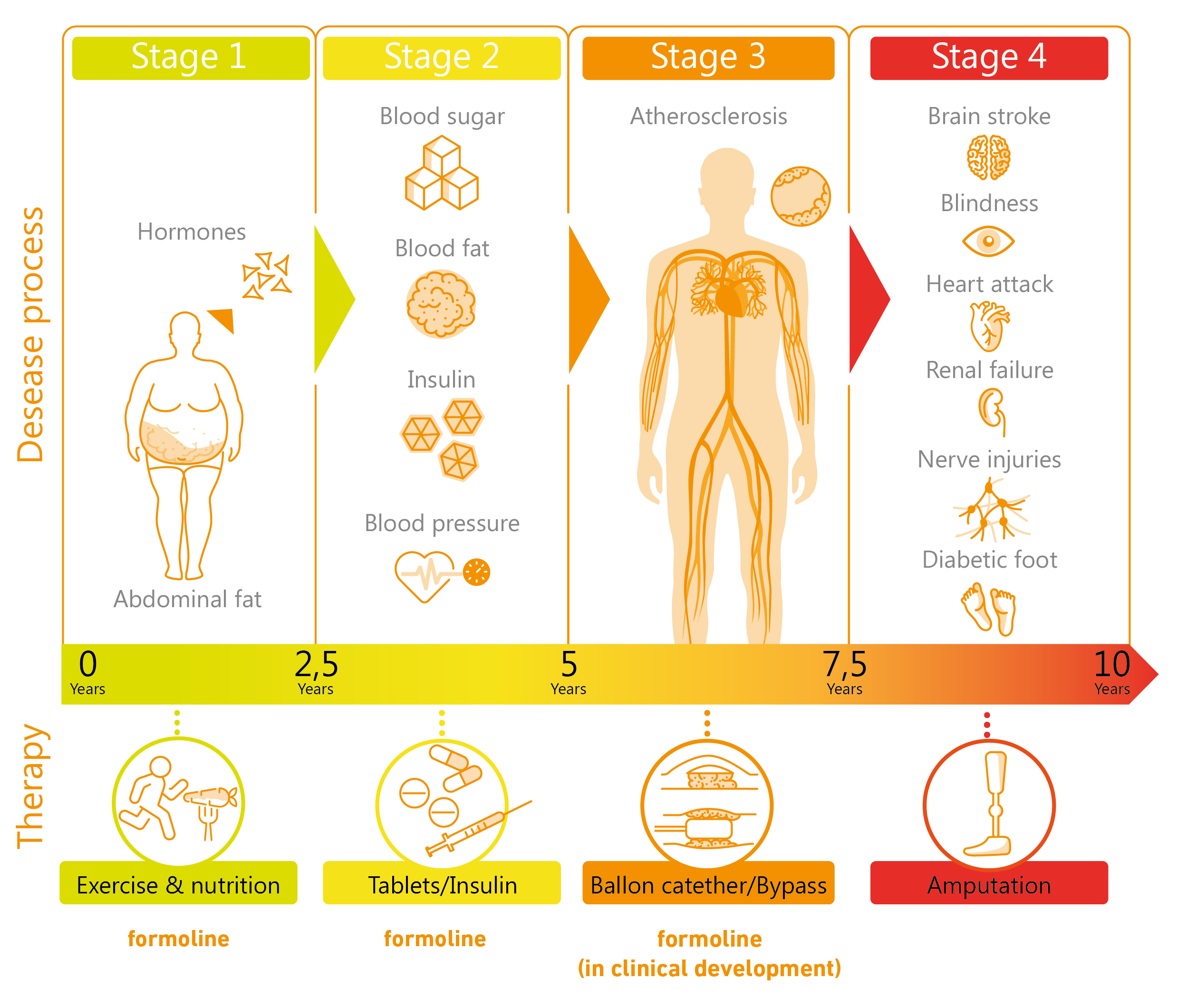 Formoline contributes to combating metabolic syndrome, which encompasses a range of conditions like high blood pressure or and insulin resistance