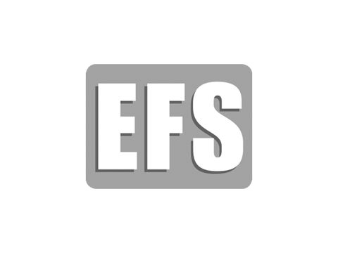 EFS Gesellschaft für Hebe- und Handhabungstechnik mbH