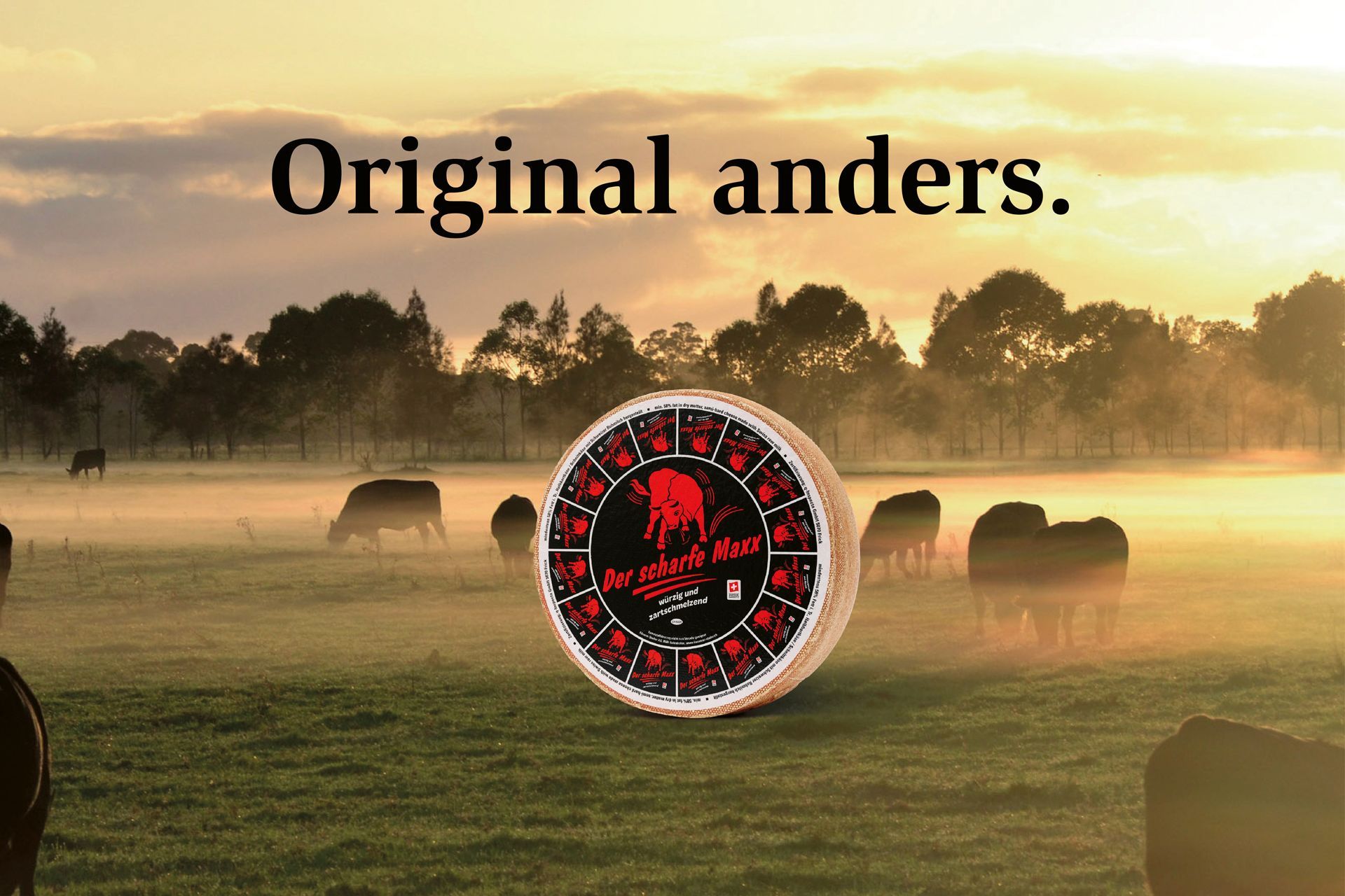 Käserei Studer AG Originalmente differente