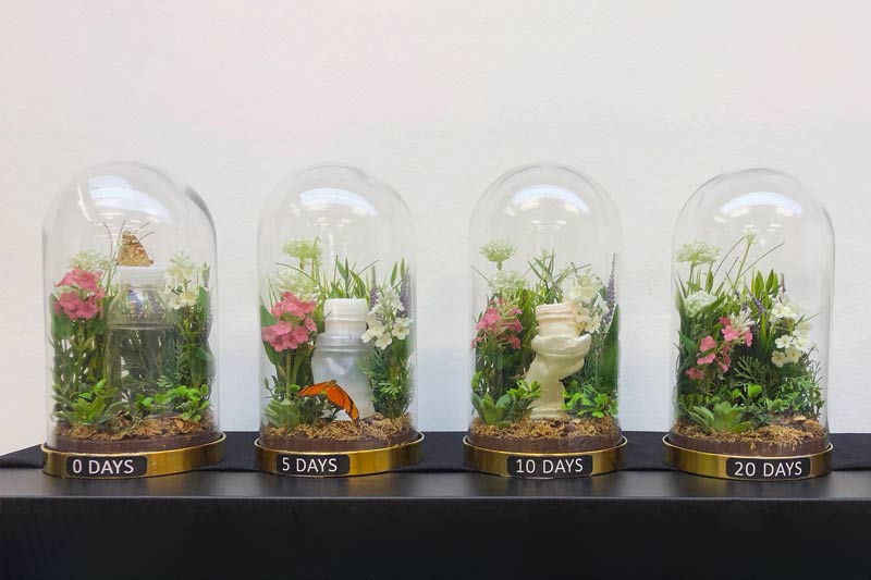 Vimeksim International - PLA Bottles from Vieno